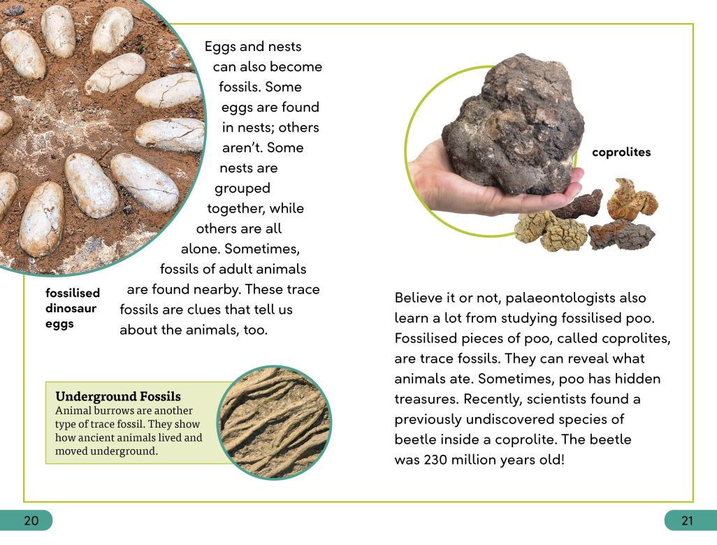 DK Super Readers Level 3: Fossils