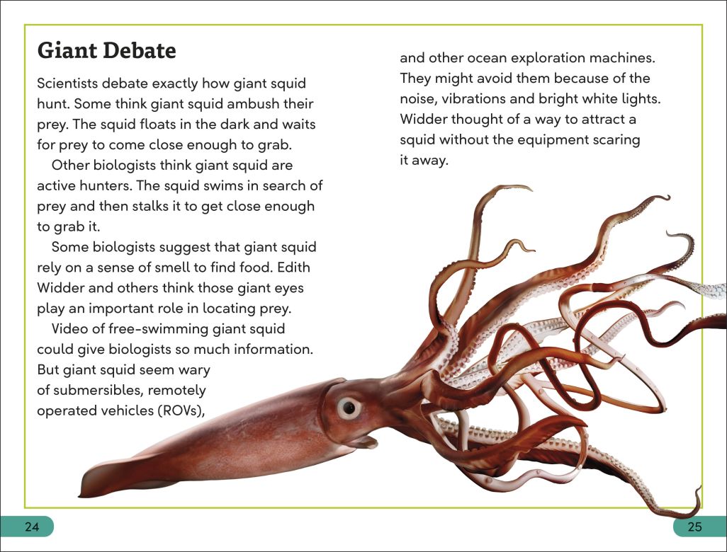 DK Super Readers Level 3: Giant Squid