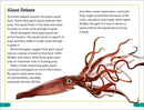 DK Super Readers Level 3: Giant Squid
