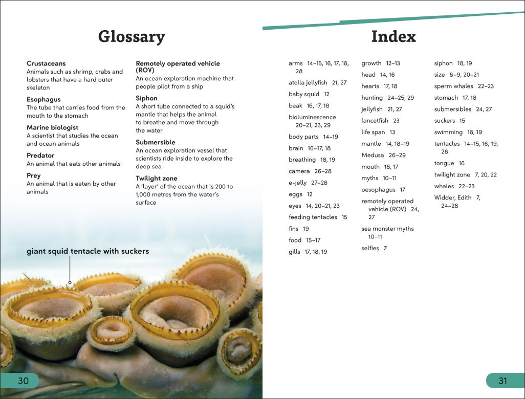 DK Super Readers Level 3: Giant Squid