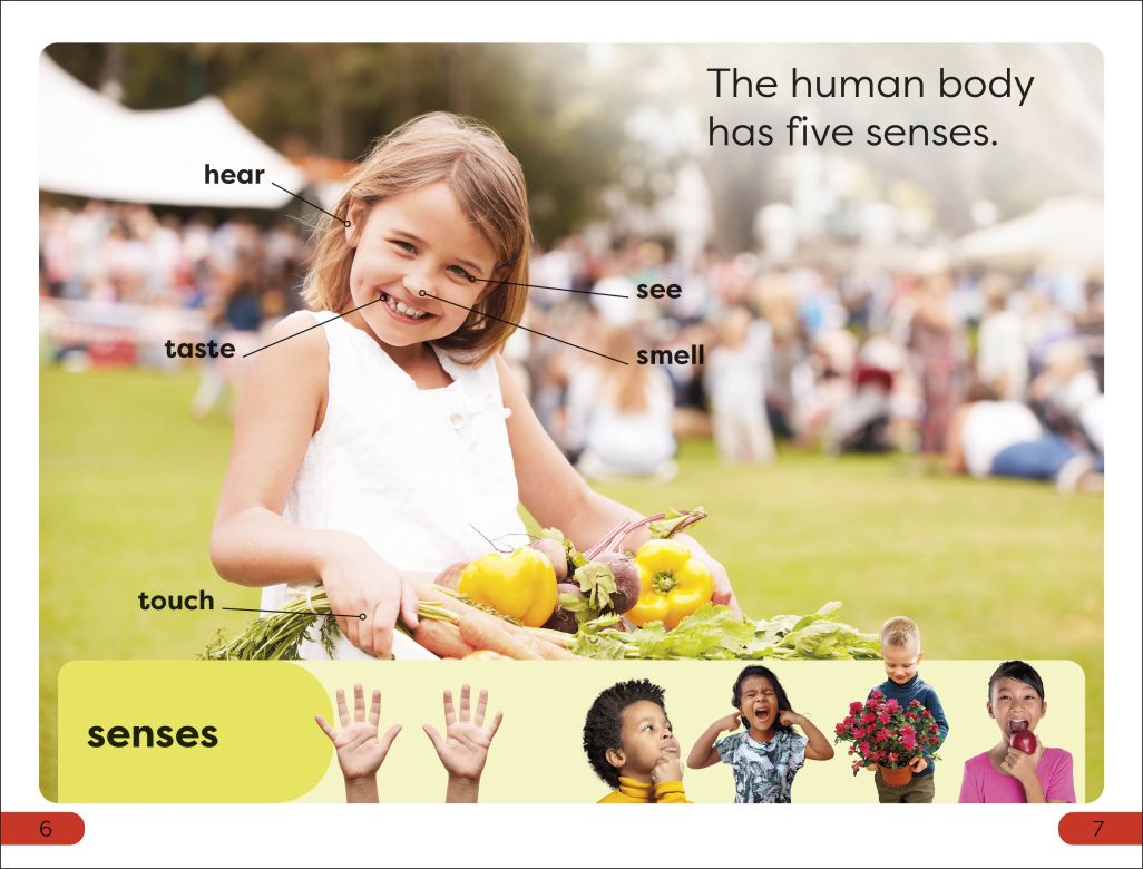 DK Super Readers Pre-Level Five Senses