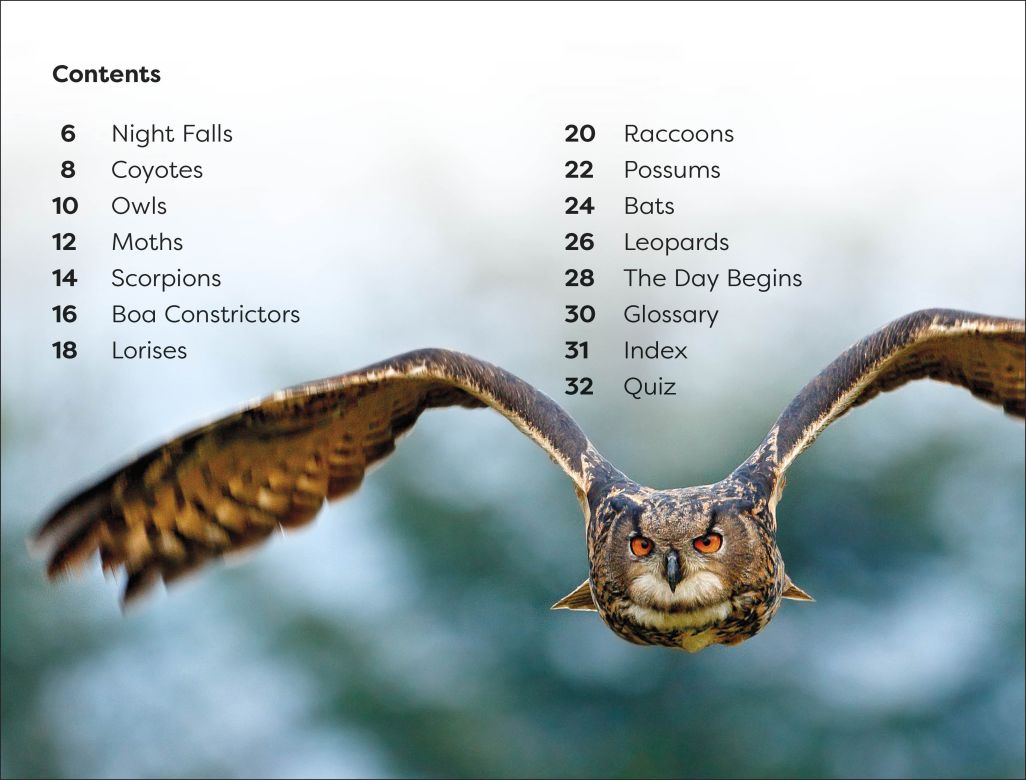 DK Super Readers Level 1: Night-time Animals
