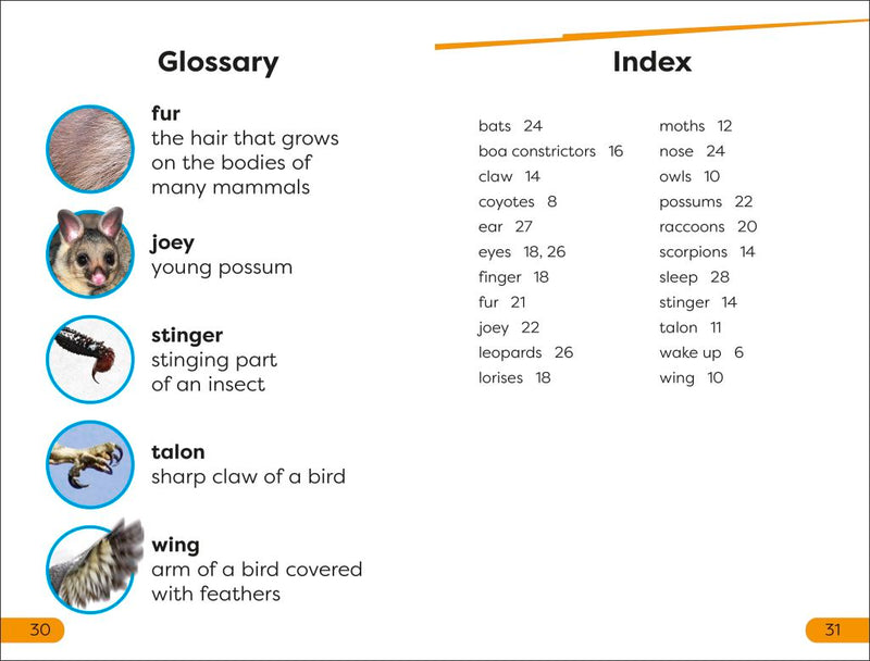 DK Super Readers Level 1: Night-time Animals