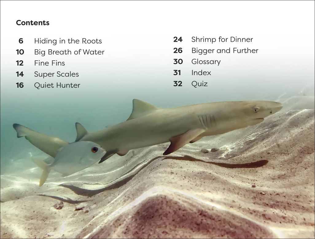 DK Super Readers Level 1: Life of a Baby Lemon Shark