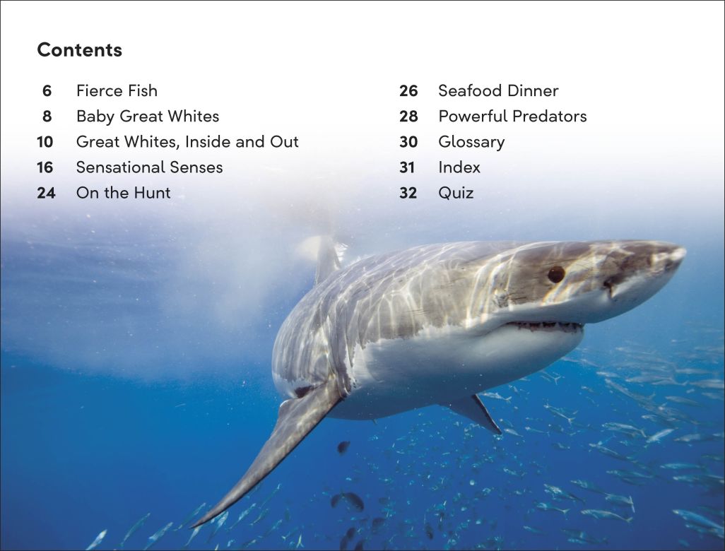 DK Super Readers Level 2: Great White Sharks