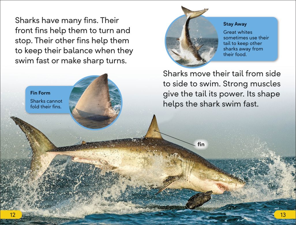 DK Super Readers Level 2: Great White Sharks