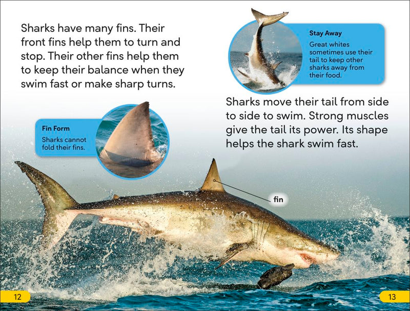 DK Super Readers Level 2: Great White Sharks