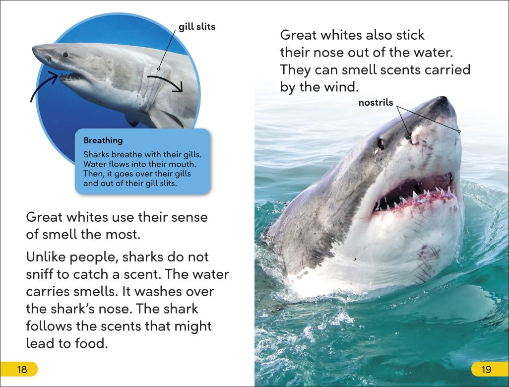 DK Super Readers Level 2: Great White Sharks