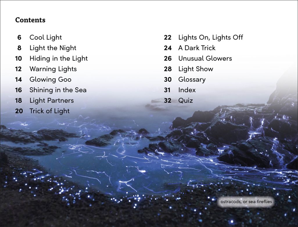 DK Super Readers Level 3: Bioluminescent Animals