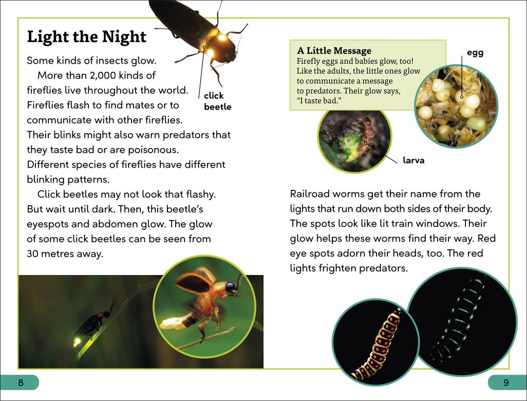 DK Super Readers Level 3: Bioluminescent Animals