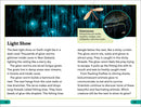 DK Super Readers Level 3: Bioluminescent Animals
