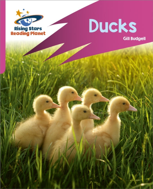 Ducks (Rocket Phonic-Target Practice: Pink B)