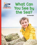 RP-Galaxy Red B: What Can You See by the Sea(L4-5)
