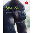 Alphakids Level 11:Gorillas