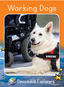 Working Dogs(Decodable Explorers Fluency Boost Non Fiction A)