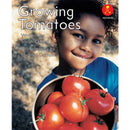 Alphakids Level 8:Growing Tomatoes