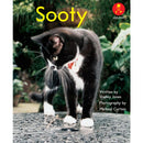 Alphakids Level 12:Sooty