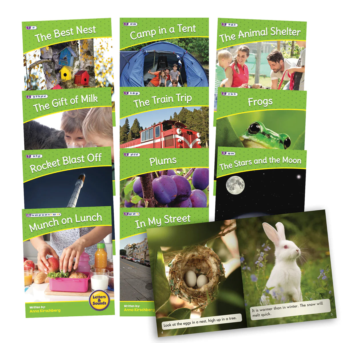Beanstalk Books: Phase 4 Set 2 Non Fiction(BB114)