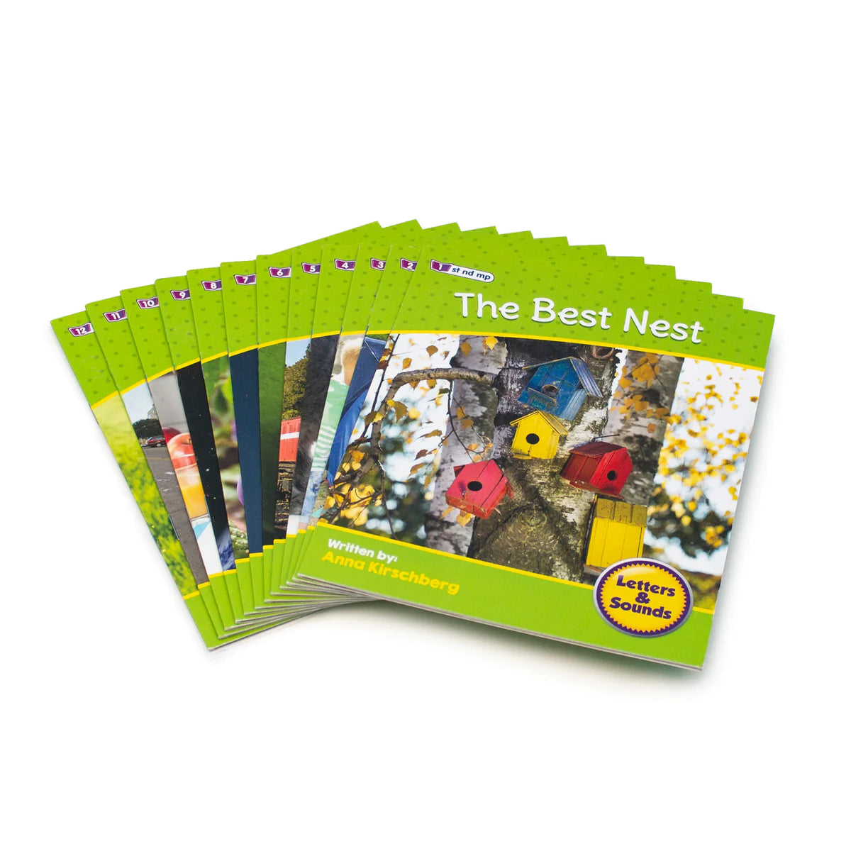 Beanstalk Books: Phase 4 Set 2 Non Fiction(BB114)