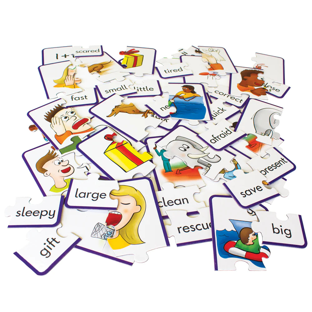 Synomym Puzzles (JL241)