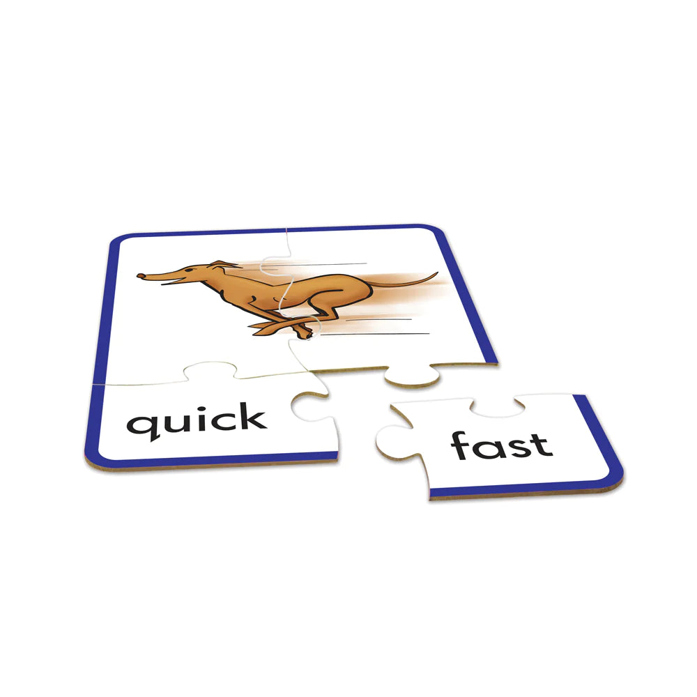 Synomym Puzzles (JL241)