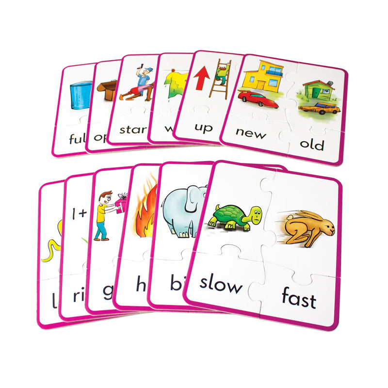 Antonym Puzzles (JL242)