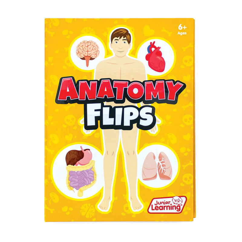 Anatomy Flips (JL647)