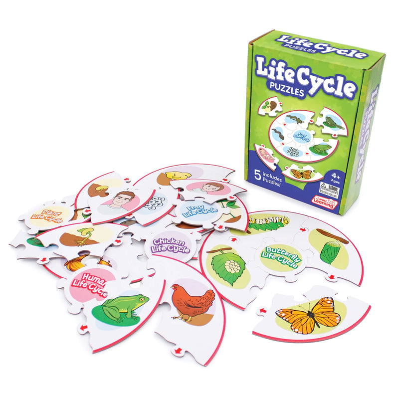 Life Cycle Puzzles(JL663)