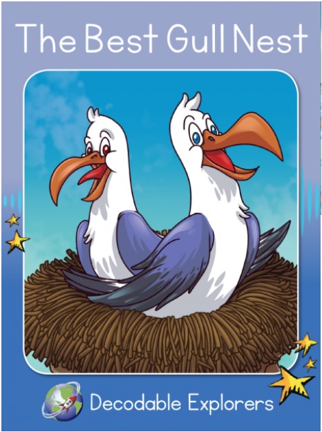 The Best Gull Nest (Decodable Explorers Fiction A - Skill Set 4)