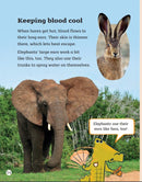 Crocodiles Don't Sweat(Readerful OUP Stage 7)