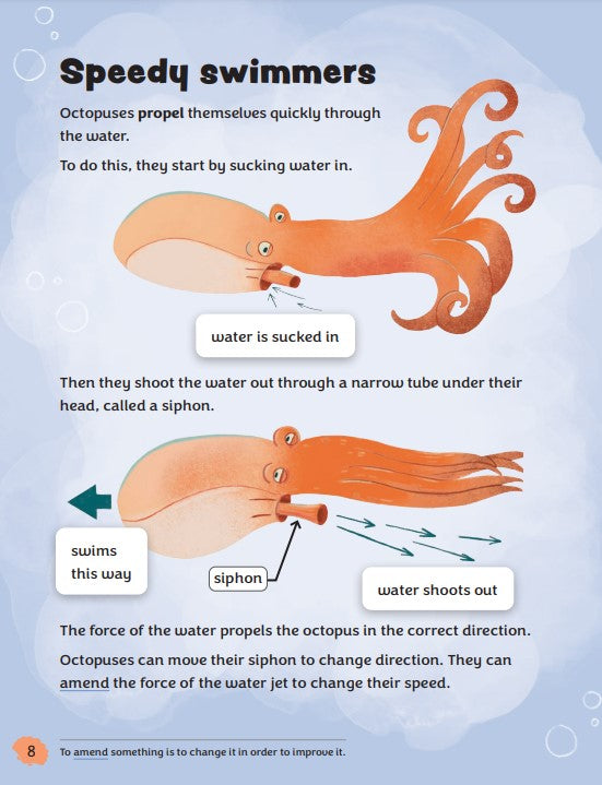 Amazing Octopuses(Readerful OUP Stage 11)