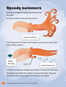 Amazing Octopuses(Readerful OUP Stage 11)