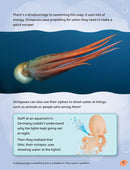 Amazing Octopuses(Readerful OUP Stage 11)