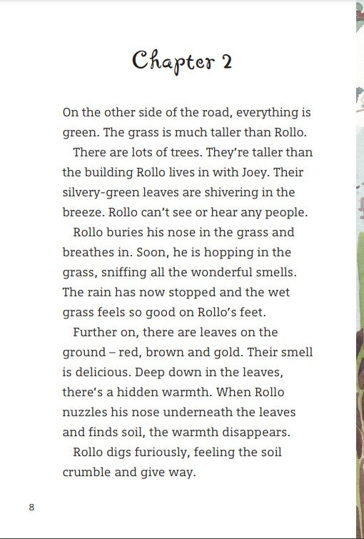 Rollo's Choice(Readerful OUP Stage 13)