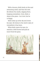 Rollo's Choice(Readerful OUP Stage 13)