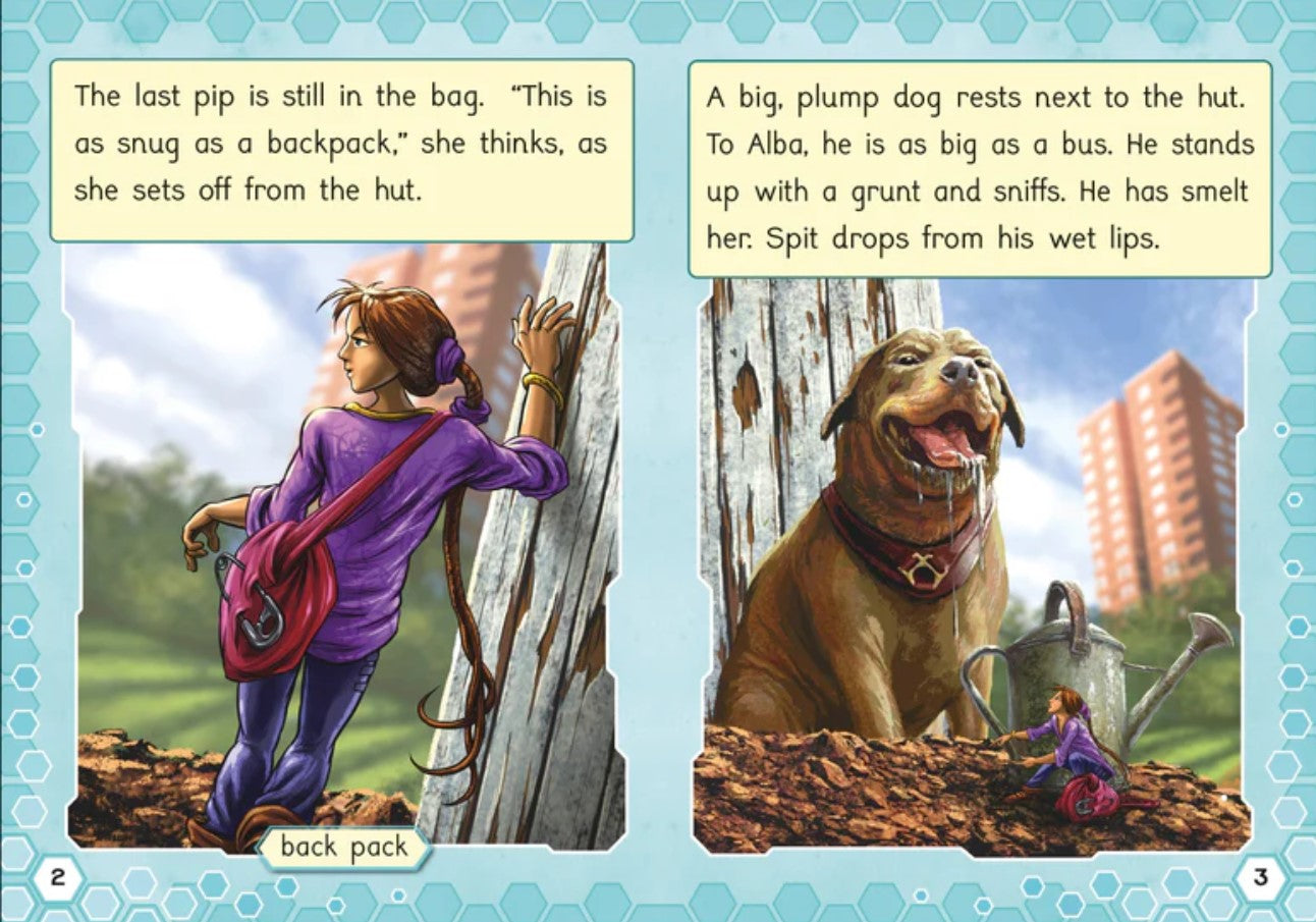 Phonic Books Alba : Adjacent consonants and consonant digraphs, and alternative spellings for vowel sounds