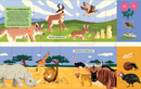 Animals(A Lift-the-Fact Book)