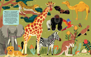Animals(A Lift-the-Fact Book)