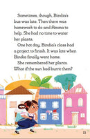 The House of Bindia's Dreams(Readerful OUP Stage 8)