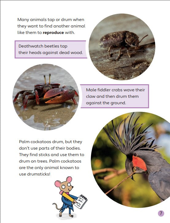 Musical Animals(Readerful OUP Stage 11)