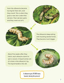 Splendid Silk(Readerful OUP Stage 13)