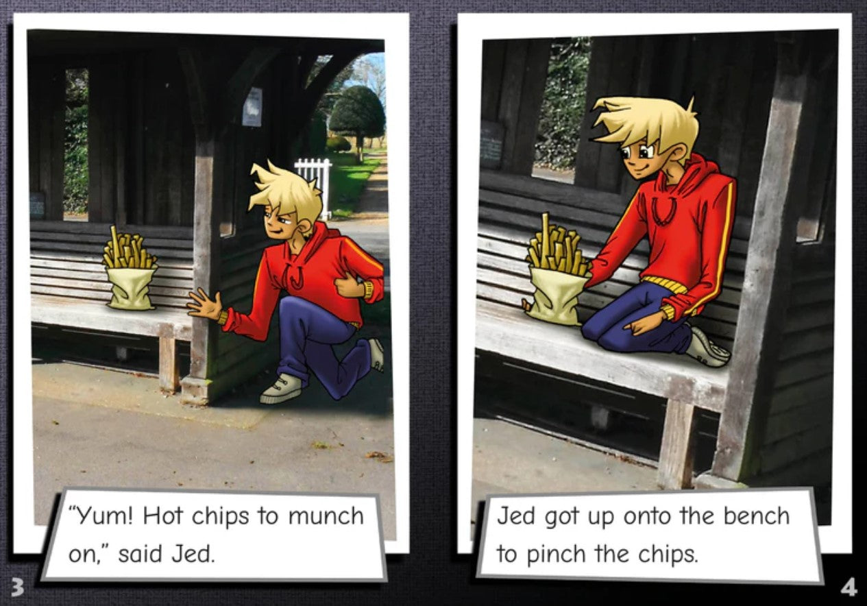Phonic Books Moon Dogs Set 2 : Adjacent consonants and consonant digraphs