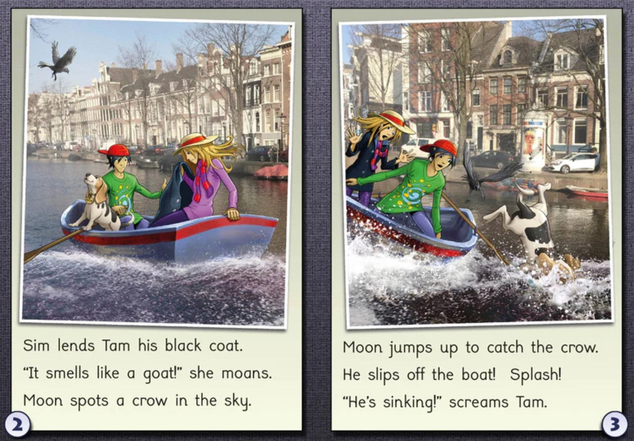 Phonic Books Moon Dogs Set 3 Vowel Spellings : Two alternative vowel spellings