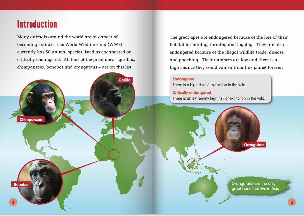 FS Level T:Animals in Danger: Orangutans