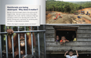 FS Level T:Disappearing Rainforests(Perspectives Book)
