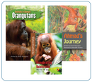 FS Level T:Disappearing Rainforests(Perspectives Book)