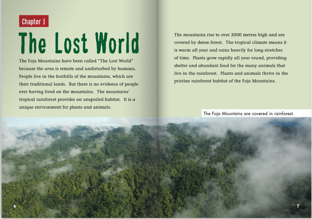 FS Level T:Discovering the Lost World
