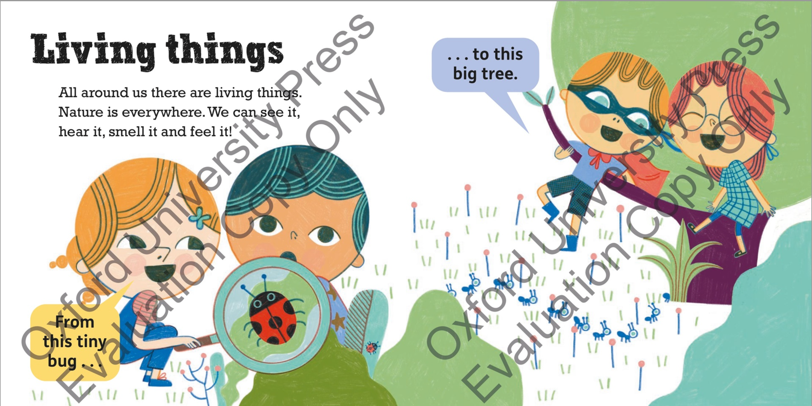 Science Words for Little People:Nature(HC)