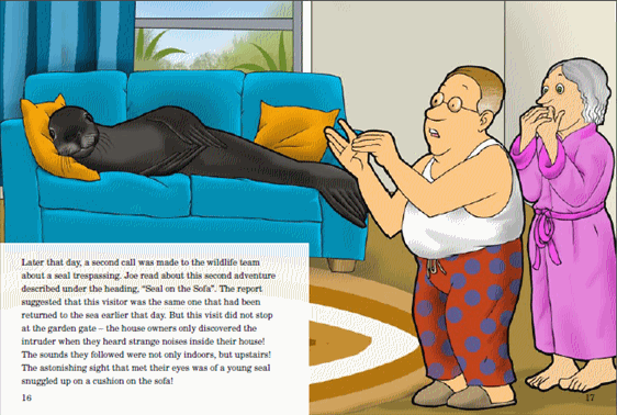 Red Rocket Advanced Fluency Level 4 Fiction A (Level 30): Seal on the Suburbs