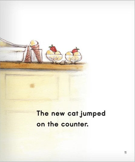 The New Cat (Big Book)
